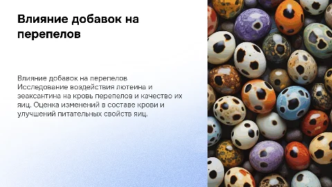 Влияние добавок с лютеином и зеаксантином на перепелов