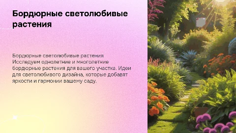 Бордюрные растения: идеи для светолюбивого дизайна участка