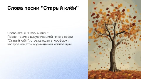 в презентации слова песни старый клен с картинками