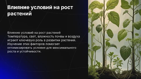 Влияние температур, света и влажности на рост растений