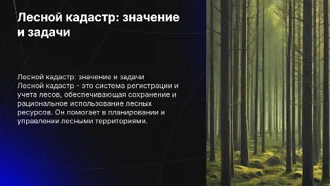 лесной кадастр