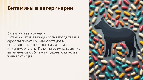 презентация по фармакологии витамины в ветеринарии