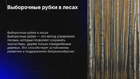 Выборочные рубки в лесном хозяйстве