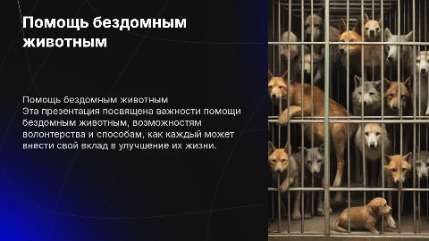 Тема помощь бездомным животным