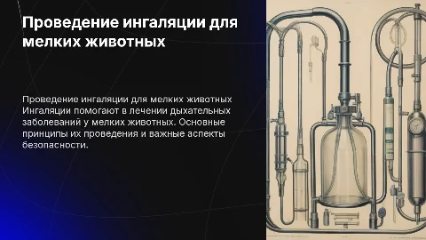 Проведение ингаляции мелких животных