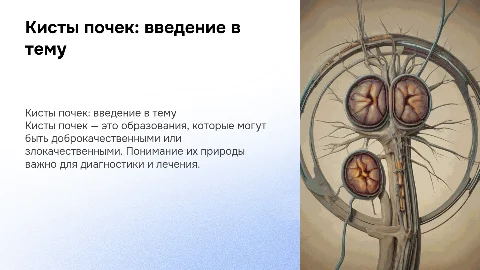 Кисты почек: клинические рекомендации для врачей