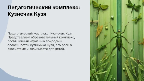 Педагогический комплекс на тему: Кузнечик Кузя