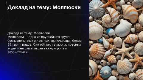 доклад на тему моллюски