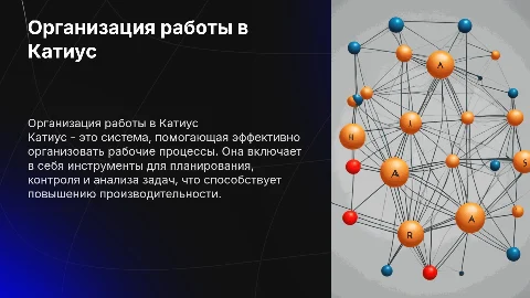 Организация работы в системе Катиус