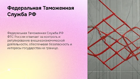ФЕДЕРАЛЬНАЯ ТАМОЖЕННАЯ СЛУЖБА РФ