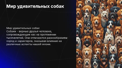 собаки