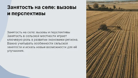 Занятость на селе
