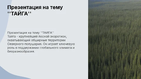 Презентация на тему "ТАЙГА"