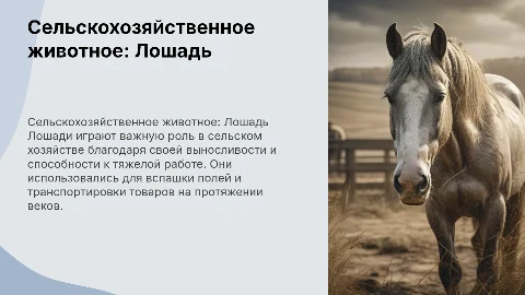 Сельскохозяйственное животное. Лошадь