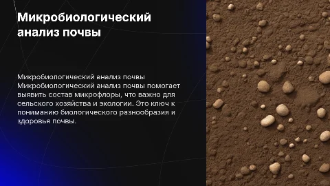 Микробиологический анализ почвы