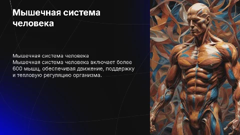 мышечная система человека