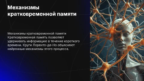 Механизмы кратковременной памяти.Круги Лоренто-де-Но