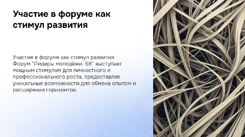 участие в форуме "Лидеры молодёжи. 58" как стимул к саморазвитию