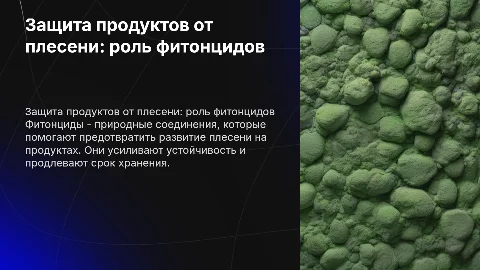 Советы по защите продуктов от плесени с фитонцидами