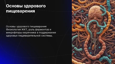 Основы здорового пищеварения: ЖКТ, ферменты и микрофлора