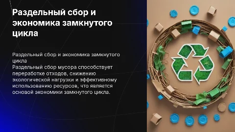 Раздельный сбор мусора и экономика замкнутого цикла