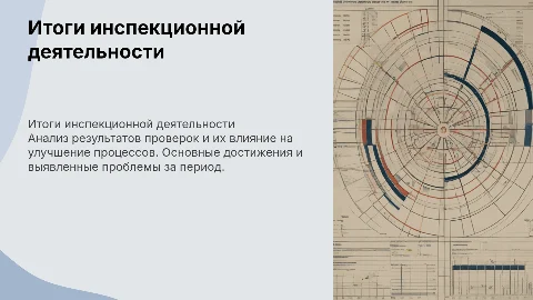 итоги инспекционной деятельности