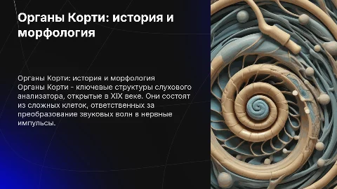 Органы Корти: история открытия и морфологическое описание