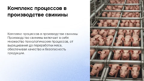 Комплекс технологических процессов при производстве свинины