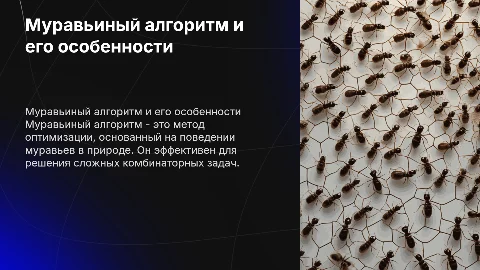 Муравьиный алгоритм: теоретическая реализация и сложность
