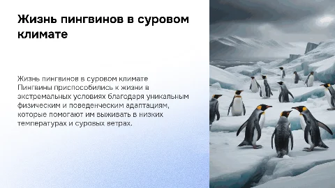 Как живут пингвины в суровых условиях: презентация
