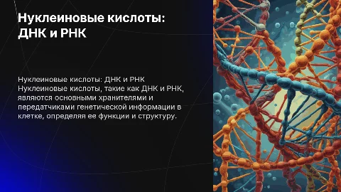 Презентация о нуклеиновых кислотах: ДНК и РНК в клетке