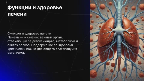 Печень
