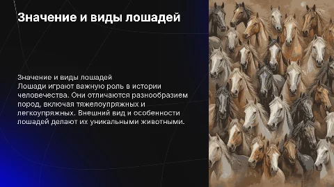 Презентация о лошадях: значение, внешний вид и породы