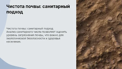 Оценка чистоты почвы по санитарному числу