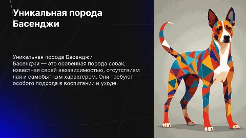 Басенджи
