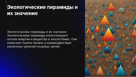 экологические пирамиды
