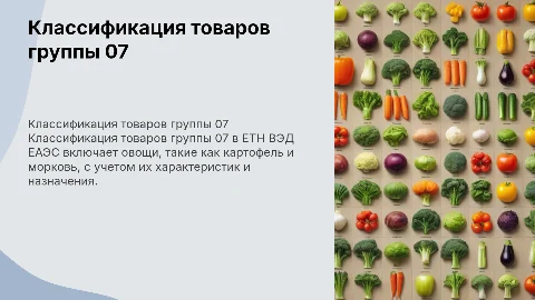 Классификация товаров группы 07 в ЕТН ВЭД ЕАЭС