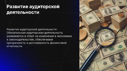 направления развития обязательной аудиторской деятельности