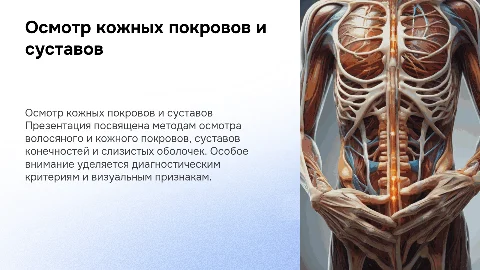 Проведение осмотра волосяного и кожного покровов