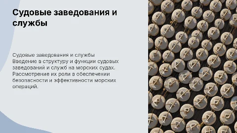 Судовые заведования и службы на морском судне