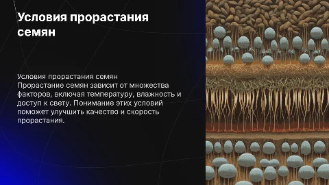 Условия прорастания семян