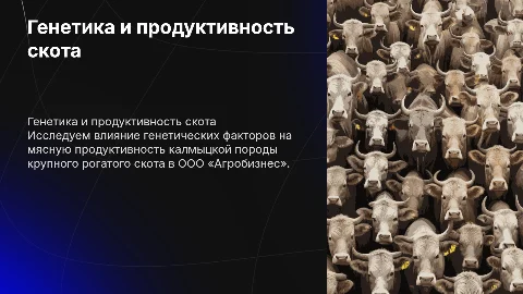 Влияние генетических факторов на мясную продуктивность скота