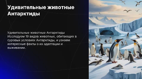 животные из Антарктиды 19 видов и фактов