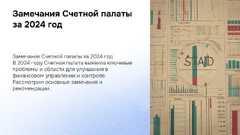 Замечания Счетной палаты за 2024 год
