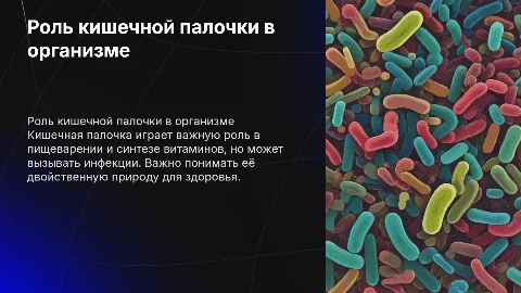 Презентация на тему бактерии и кишечная палочка