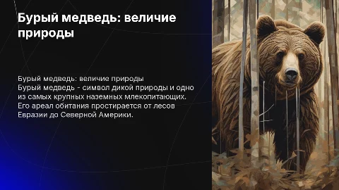 бурый медведь
