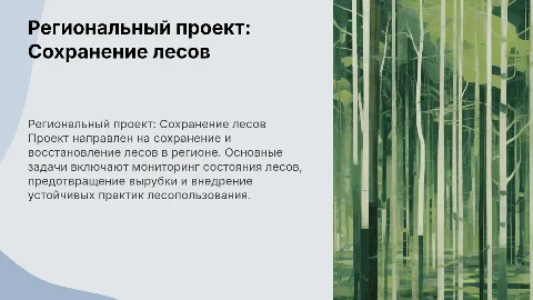 Региональный проект Сохранение лесов