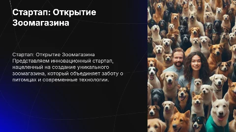 Стартап по открытию зоомагазина