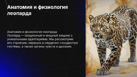 Общая характеристика анатомии и физиологии леопарда
