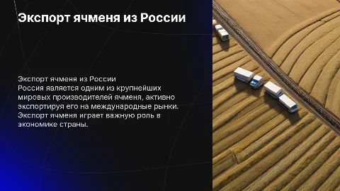 экспорт ячменя из россии